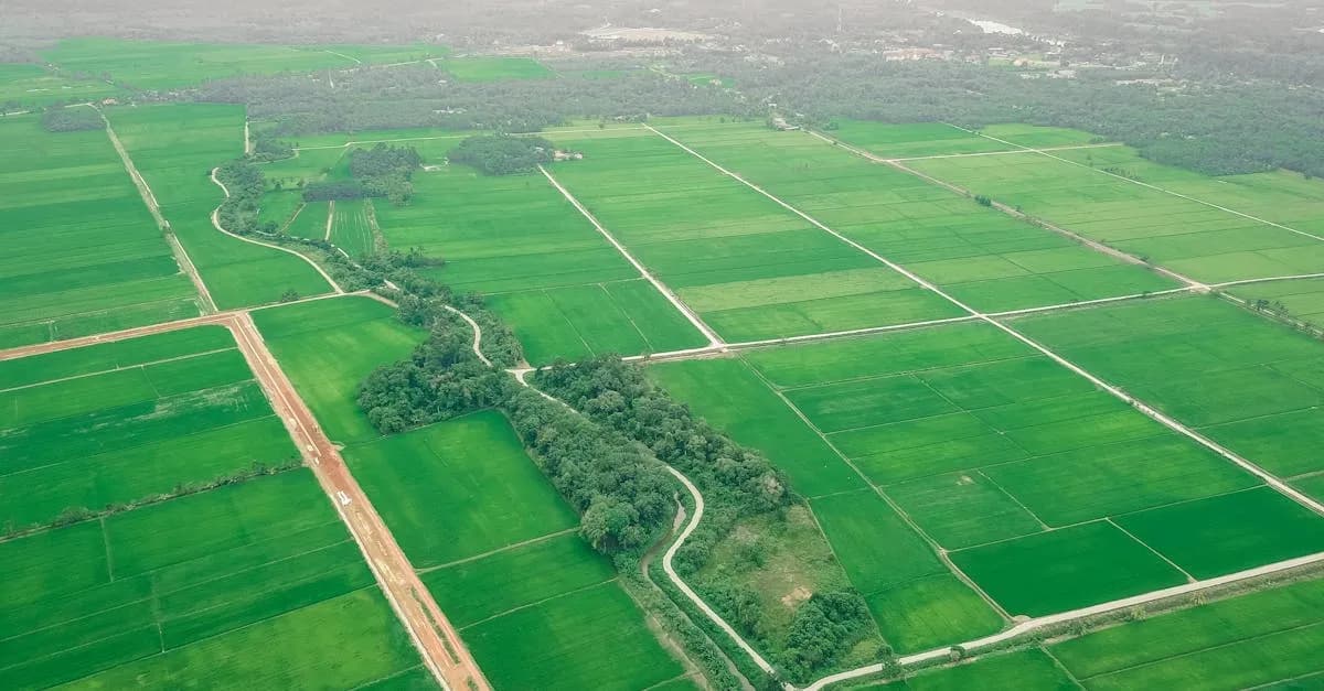 5 filmów przyrodniczych, które zmienią Twoje życie